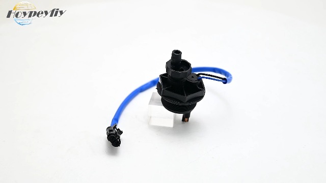 Amazon.com: Hoypeyfiy Water in Fuel Sensor 8-Sided Type